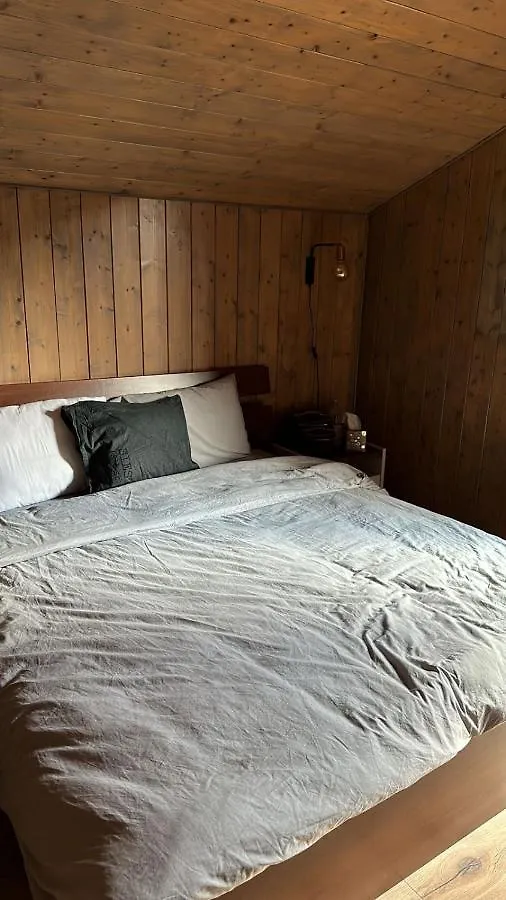 Chalet Luxueux Chatel France