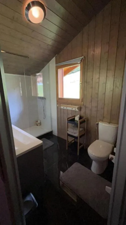 Chalet Luxueux Chatel France